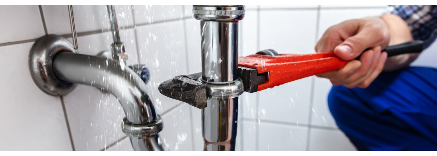 Featured Image for ROYAL FLUSH PLUMBING CO
